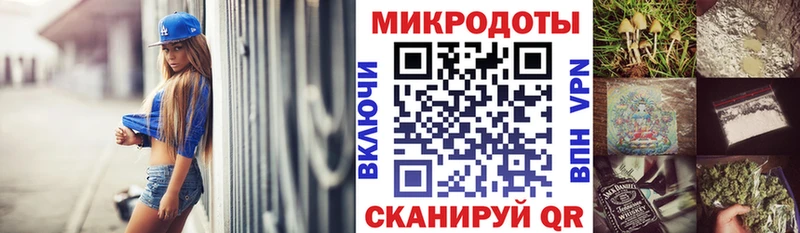 blacksprut ссылка  Моршанск  Псилоцибиновые грибы Psilocybe 