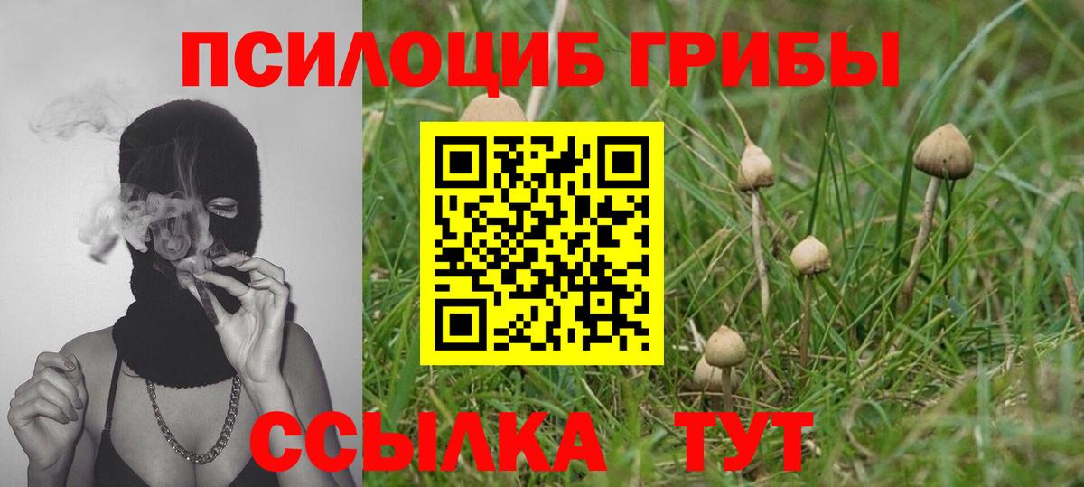 Галлюциногенные грибы Cubensis Моршанск