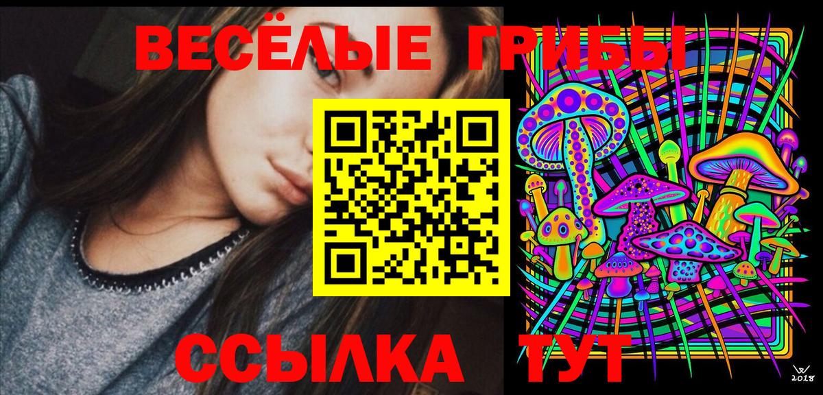 Моршанск  Псилоцибиновые грибы Cubensis  Вход с VPN 